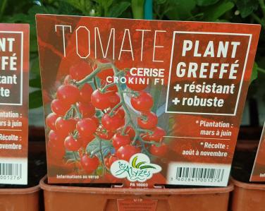 Drive potager Tomate cerise greffé 4€ Jardin Service Fourny Paysagiste & Espaces Verts