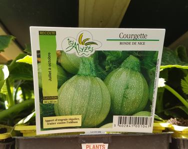 Drive potager Courgette ronde de nice 0.80€ le godet Jardin Service Fourny Paysagiste & Espaces Verts