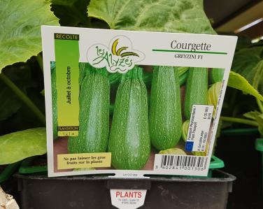 Drive potager Courgette greyzini 0.80€ le godet Jardin Service Fourny Paysagiste & Espaces Verts