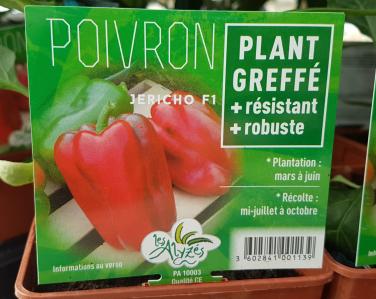 Drive potager Poivron greffé jericho 4€ Jardin Service Fourny Paysagiste & Espaces Verts