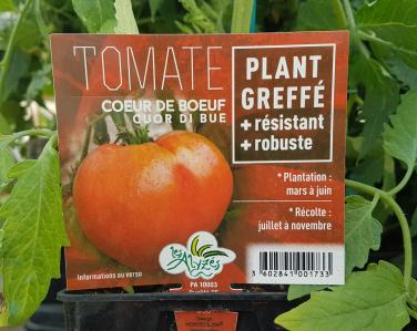Drive potager Tomate greffé coeur de boeuf 4€ Jardin Service Fourny Paysagiste & Espaces Verts