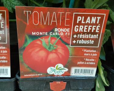 Drive potager Tomate greffé motecarlo 4€ Jardin Service Fourny Paysagiste & Espaces Verts