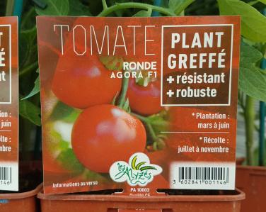 Drive potager Tomate greffé agora 4€ Jardin Service Fourny Paysagiste & Espaces Verts