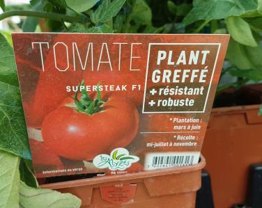 Drive potager Tomate greffé supersteak 4€ Jardin Service Fourny Paysagiste & Espaces Verts