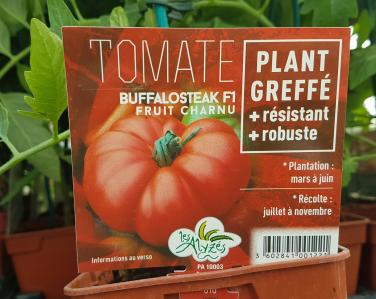 Drive potager Tomate buffalosteak greffé 4€ Jardin Service Fourny Paysagiste & Espaces Verts