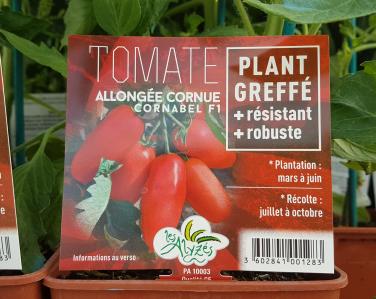Drive potager Tomate cornue greffé 4€ Jardin Service Fourny Paysagiste & Espaces Verts