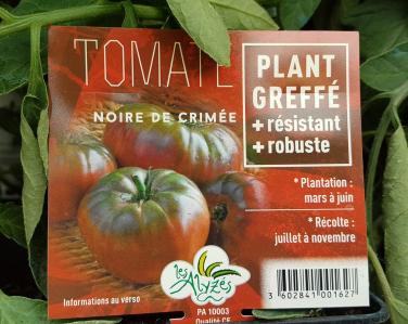 Drive potager Tomate noire de crimée greffé 4€ Jardin Service Fourny Paysagiste & Espaces Verts