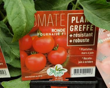 Drive potager Tomate fournaise greffé 4€ Jardin Service Fourny Paysagiste & Espaces Verts