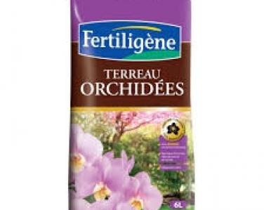 Terreaux Orchidée 6L Jardin Service Fourny Paysagiste & Espaces Verts