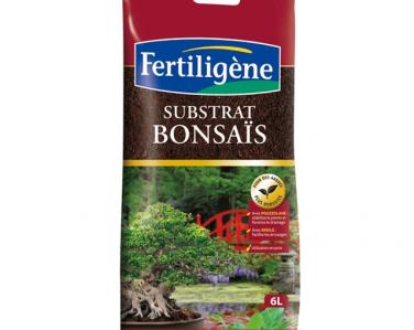 Terreaux Bonsaï 6L Jardin Service Fourny Paysagiste & Espaces Verts